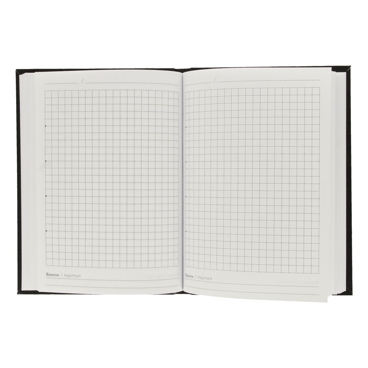 Феникс + Записная книжка A6+ ( 120х165 мм) 96 л. клетка Дела-делишки 61703 Фото 2.