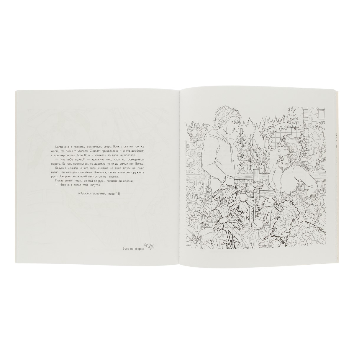 АС Книга для творчества Лунные хроники Фото 2.