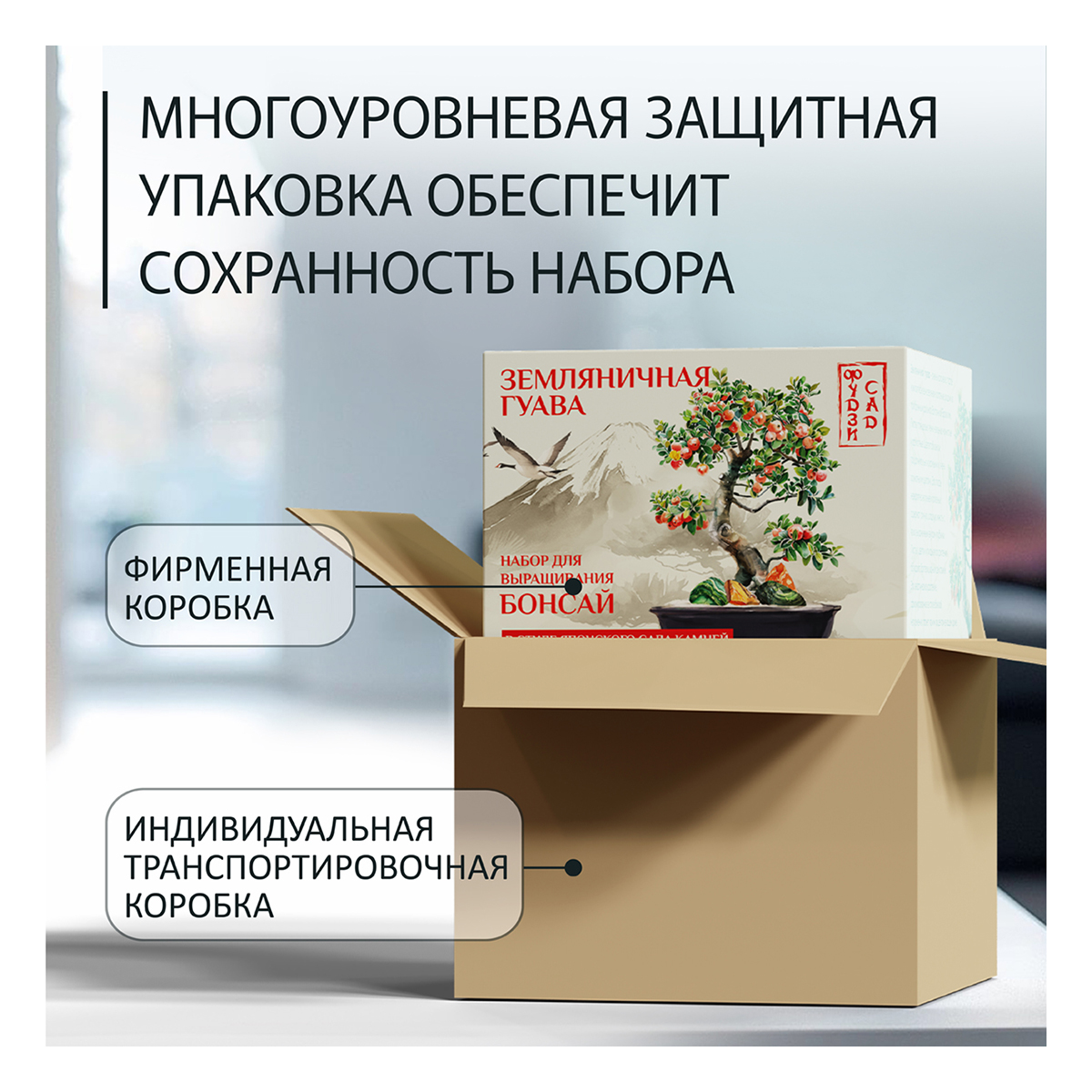 Фудзи сад Подарочный набор для выращивания Вырасти Бонсай дома Земляничная гуава fg-001 Фото 4.