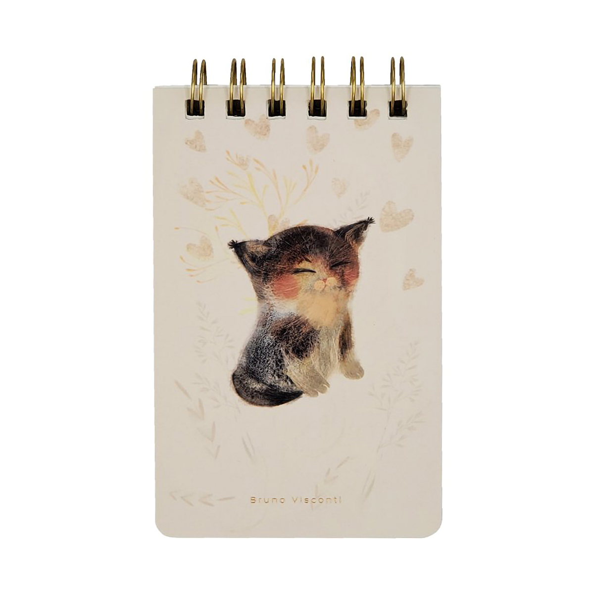 Bruno Visconti Блокнот CUTE JOURNAL A6- 100 л. линия Милый котенок 3-100-005/03 Фото 1.