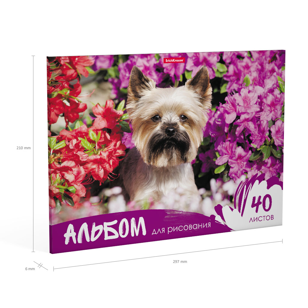 ErichKrause Альбом для рисования 120 г/м2 A4 21 х 29.7 см склейка с одной стороны 40 л. 43365 Жизнь в цветах Фото 3.