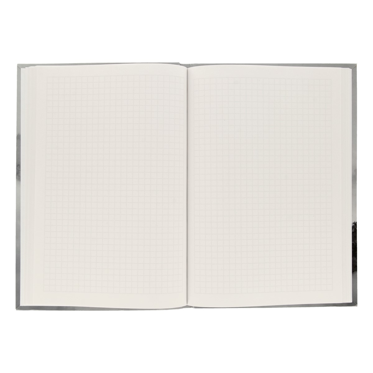 Listoff Книга для записей A5 ( 145 x 210 мм) 80 л. клетка In the mountains ЕТИ580465 Фото 2.