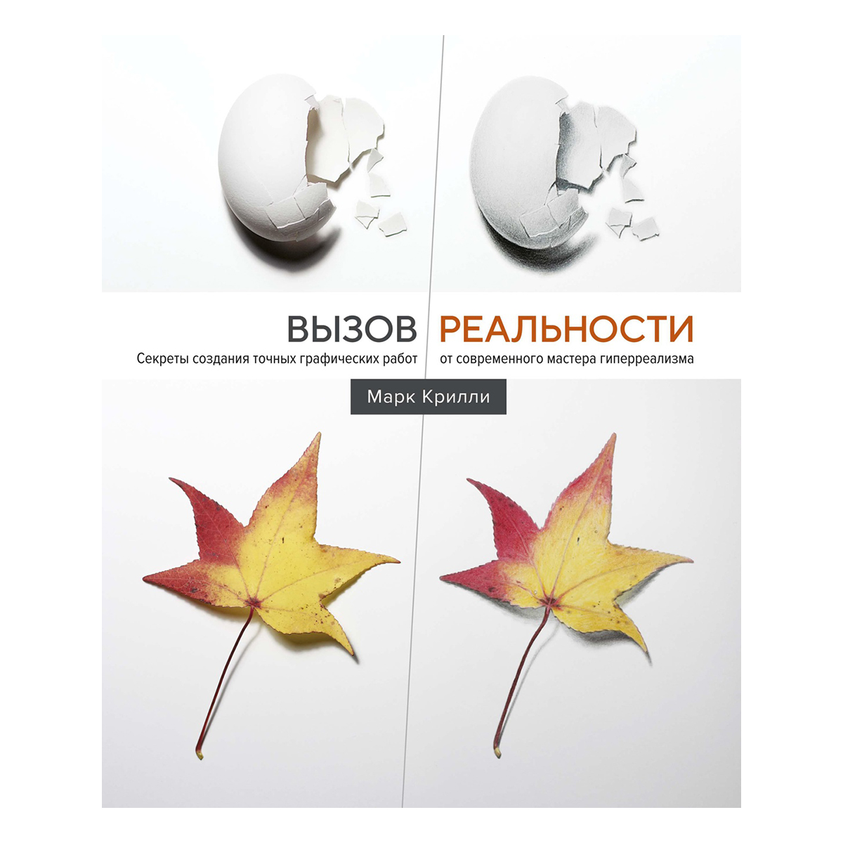 Книга М Вызов реальности Фото 1.