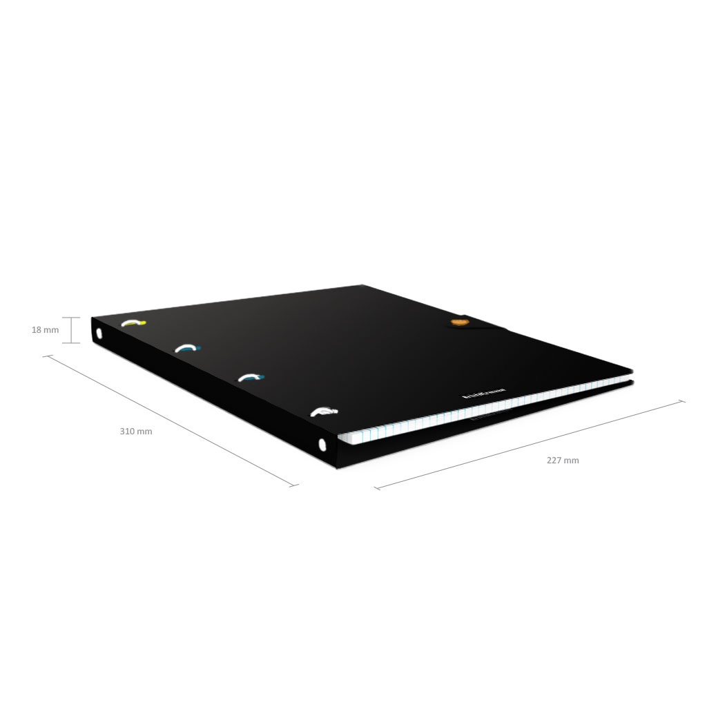 ErichKrause 51430 Тетрадь общая с пластиковой обложкой Accent A4 210х297 мм 80 л. на кольцах 60 г/кв.м клетка Фото 5.