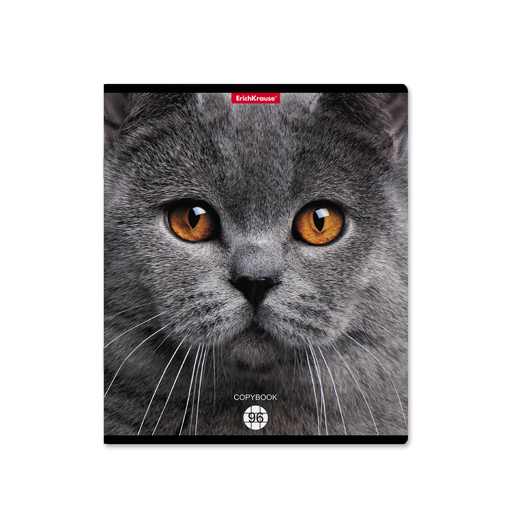 ErichKrause 58406 Тетрадь общая ученическая Cats A5+ 96 л. на скобе 60 г/кв.м клетка Фото 4.