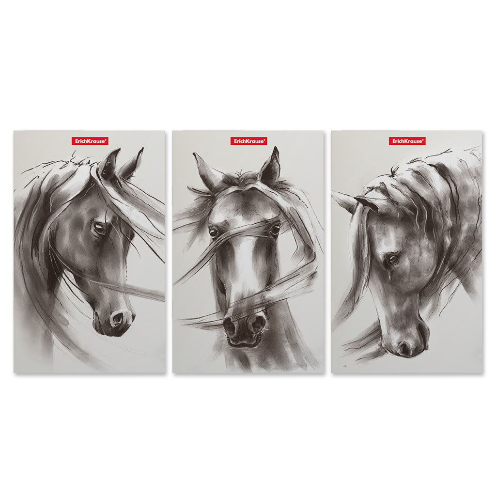 ErichKrause Записная книга A5- ( 112х181 мм) 32 л. точка Wild Horse 49816 Фото 2.