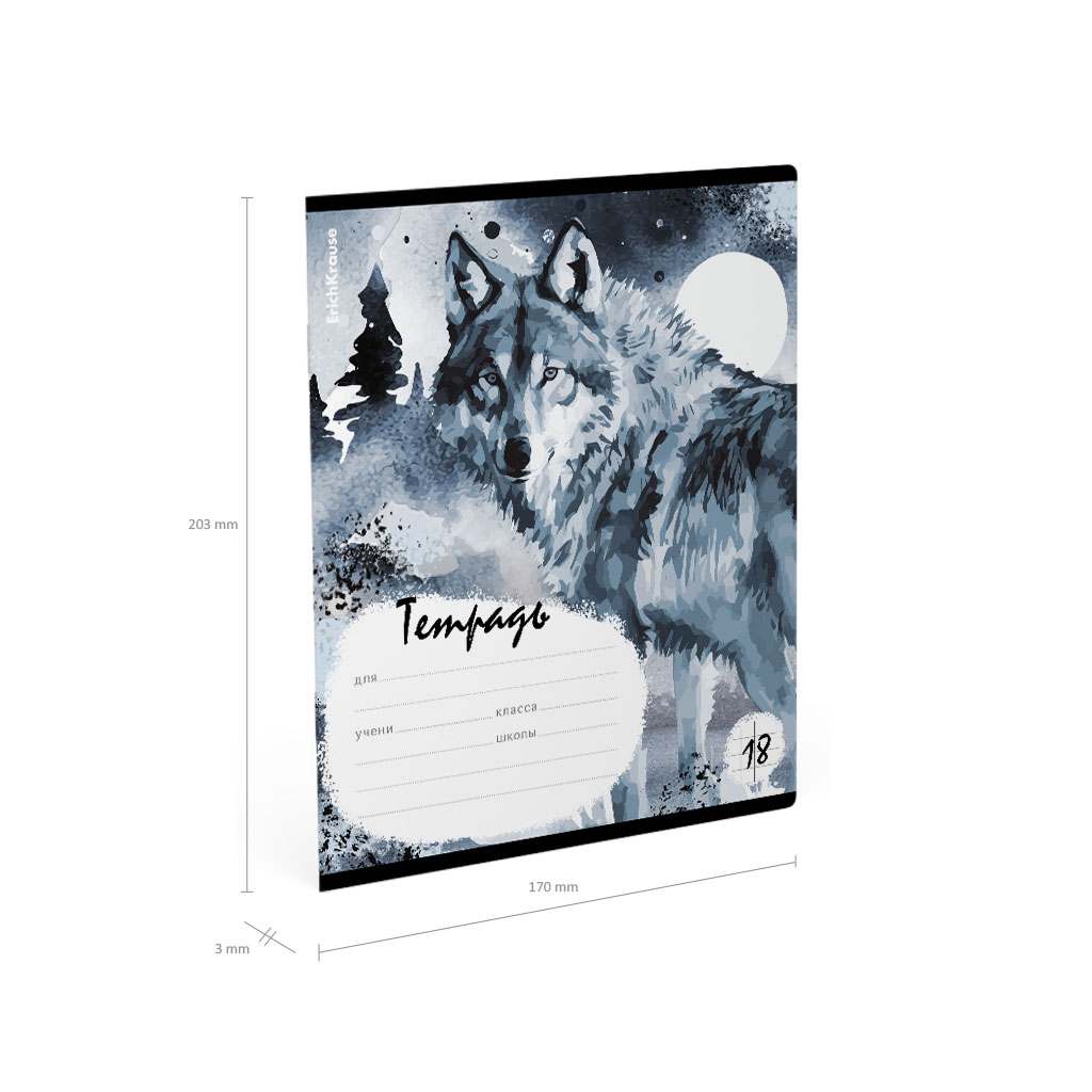 ErichKrause 60562 Тетрадь школьная ученическая Timber Wolf A5+ 18 л. на скрепке 60 г/кв.м клетка Фото 9.