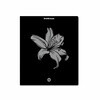 ErichKrause 54253 Тетрадь общая ученическая, Silver Flowers A5+ 170х203 мм 48 л. на скобе 60 г/кв.м клетка . Фото 2.
