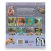ND PLAY Энциклопедия интересных фактов Настоящие друзья 286455 Фото 5.