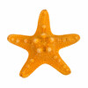 Blumentag MZF-001 Звезда морская декоративная 1 шт. №02 оранжевый Фото 1.