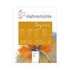Hahnemuhle Альбом-склейка для пастели «Ingres» 100 г/м2 24 х 31 см склейка 20 л. 10628052 Фото 1.