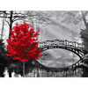 Molly Картина по номерам с цветной схемой на холсте 30 х 40 см Красное дерево в парке KK0673 Фото 1.