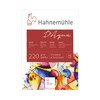 Hahnemuhle Альбом-склейка для акварели D Aqua крупное зерно 100% целлюлоза 220 г/м2 24 х 17 см склейка 30 л. 10628340 крупнозернистая Фото 1.