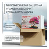 Фудзи сад Подарочный набор для выращивания Вырасти Бонсай дома Индийская сирень (лагерстремия) fg-002 Фото 4.