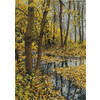 PANNA кестелеуге арналған жиынтығы ПС-1287 «Күзгі реңктердегі пейзаж» 30 х 42 см Фотосурет 1.