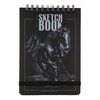 Bruno Visconti 1-505/03 Sketchbook Bv 110 г/м2 19.8 х 14.8 см на гребне 60 л. ЧЕРНЫЙ Фото 6.