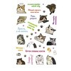 Книга КР Наклейки Котомемы Залипательно мемные стикеры для любителей котиков Бирюзовая обложка 99908147 Фото 5.