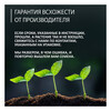 Фудзи сад Подарочный набор для выращивания Вырасти Бонсай дома Китайская роза (гибискус изменчивый) fg-003 Фото 7.