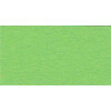 VISTA-ARTISTA Түрлі-түсті қағаз TKO-A2 300 г/м2 А2 42.5 х 60 см 51 ашық жасыл (light green) Фотосурет 1.