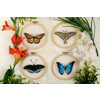 Набор для вышивания PANNA Живая картина JK-2255 Бабочка. Изабелла 13 х 13 см Фото 4.
