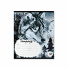 ErichKrause 60562 Тетрадь школьная ученическая Timber Wolf A5+ 18 л. на скрепке 60 г/кв.м клетка Фото 4.