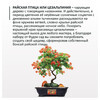Фудзи сад Подарочный набор для выращивания Вырасти Бонсай дома Райская птица (цезальпиния) fg-011 Фото 2.