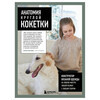 Книга Э Анатомия круглой КОКЕТКИ. Конструктор вязаной одежды на любую фигуру, любой размер, с любым узором 978-5-04-203809-9 Фото 1.
