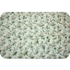  "PEPPY"  FROSTED ROSE CUDDLE 48 x 48  715 /.  5 100%  OLIVE/BEIGE