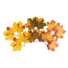 Искусственное растение Blumentag ALT-04 Декоративные элементы Листья клена 10 х 10 см 6 шт. 01 ассорти (клён) Фото 1.