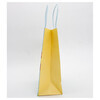 ILIKEGIFT Пакет подарочный 21 х 25 х 10 см Inspiring Landscape, balloon 22P-HB9665-S-1-4 Фото 3.
