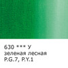 Краска масляная VISTA-ARTISTA Studio VAOS-45 45 мл 630 Зеленая лесная (Forest green) Фото 2.