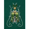 Набор для вышивания PANNA J-7272 Фантазийные жуки. Изумруд и лимон 9 х 12.5 см Фото 1.