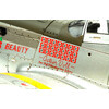 MENG LS-006 ұшақ NORTH AMERICAN P-51D MUSTANG FIGHTER 1/48 Фотосурет 10.