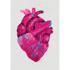Набор для вышивания PANNA Живая картина JK-2195 Анатомическое сердце 5 х 7.5 см Фото 1.