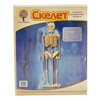 Чудо-дерево P076 (80183) Модель сборная Скелет человека Фото 1.