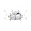 2587957902  (Crystal)