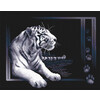 Набор для вышивания PANNA J-0277 ( Ж-0277 ) Белый тигр Фото 1.