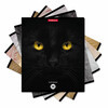 ErichKrause 58406 Тетрадь общая ученическая Cats A5+ 96 л. на скобе 60 г/кв.м клетка Фото 1.