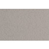 Fabriano Бумага для пастели Tiziano 160 г/м2 70 х 100 см лист 52811028 China/Серый теплый Фото 1.