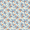 53363405362 26647 BLU1
