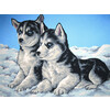 /   "Collection D`Art"  10.000 40   50  10403 