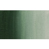 Краска масляная VISTA-ARTISTA Studio VAMP-45 45 мл 27 Темно-зеленый оливковый (Duck Green) Фото 1.