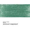 VISTA-ARTISTA Fine VFCP Түрлі-түсті қарындаш қайралған 624 Жасыл балқарағай (Cedar green) Фото 2.