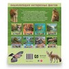 ND PLAY Энциклопедия интересных фактов Необычные таланты 286456 Фото 5.