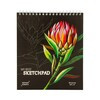 Феникс + Скетчпад Красный цветок 120 г/м2 21 х 17 см на гребне 30 л. 50819 Фото 1.