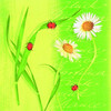  "Ars Hobby"  33 x 33 AH8271780 