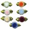  "Floranta"  Abronia 01