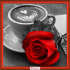 Алмазная живопись АЖ-1773 Роза и кофе 25 х 25 см Фото 1.