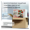 Фудзи сад Подарочный набор для выращивания Вырасти Бонсай дома Суданская роза (гибискус сабдарифа) fg-006 Фото 4.