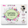 Molly HR0119 Картина по номерам 40 х 50 см Монохромные цветы Фото 2.